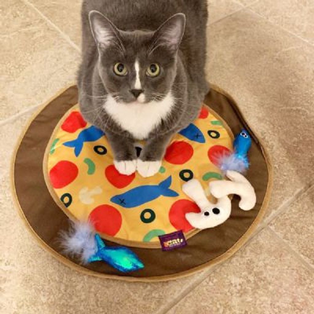 tw-11134207-23020-52rtpcxubrnva1