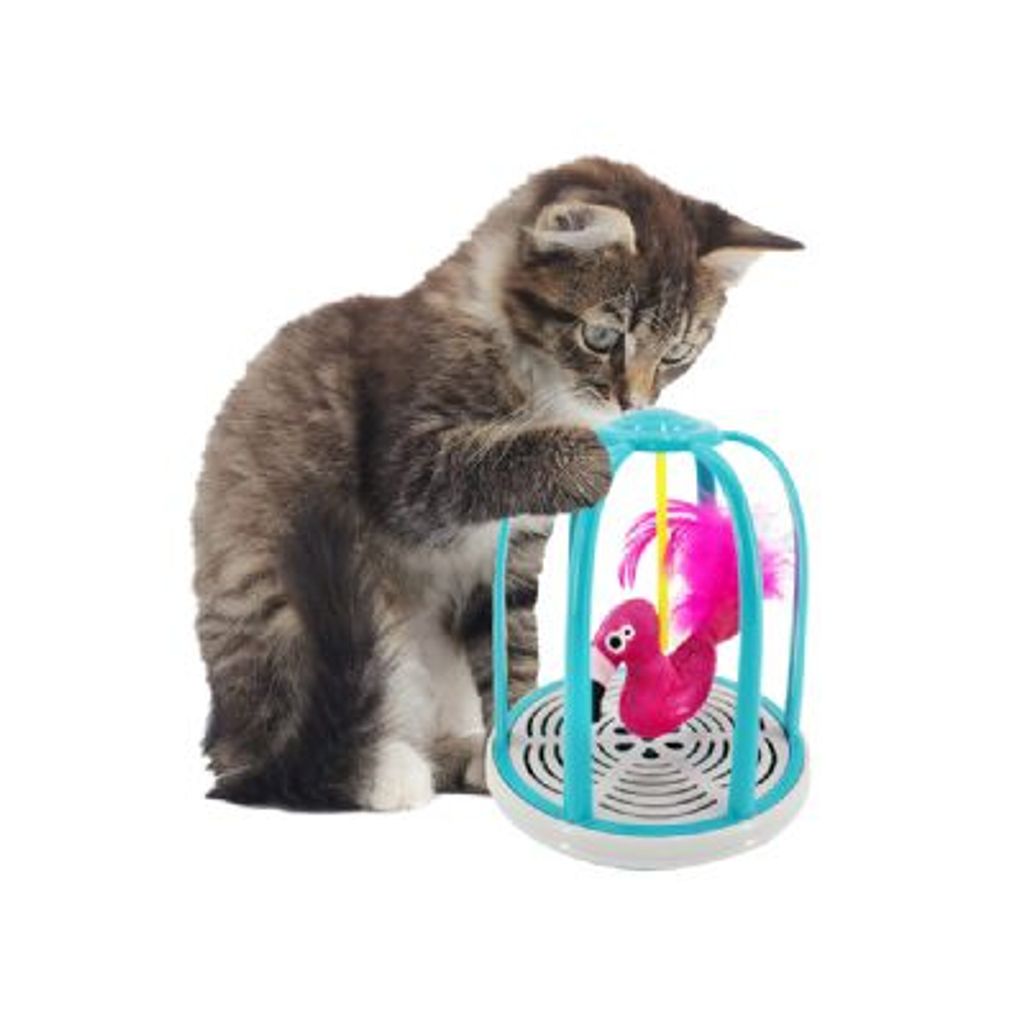 tw-11134207-23020-76t3il1ubrnv48