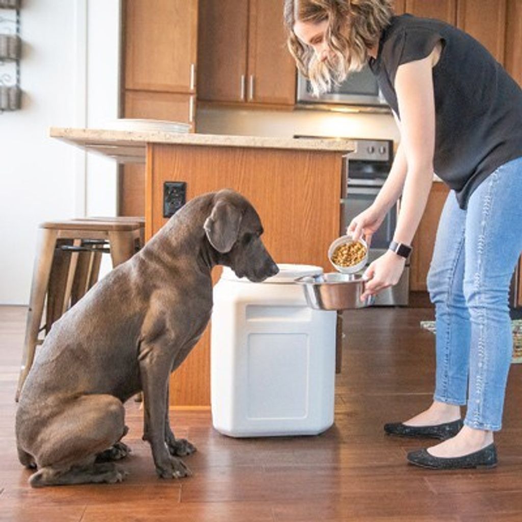 54fc73fc17f08db6f96a78e0ef418288