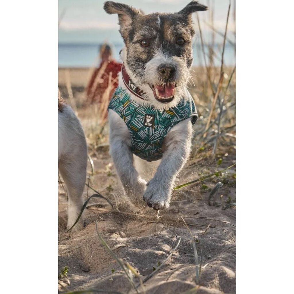 tw-11134207-7r98x-lm4hq8nanusb17