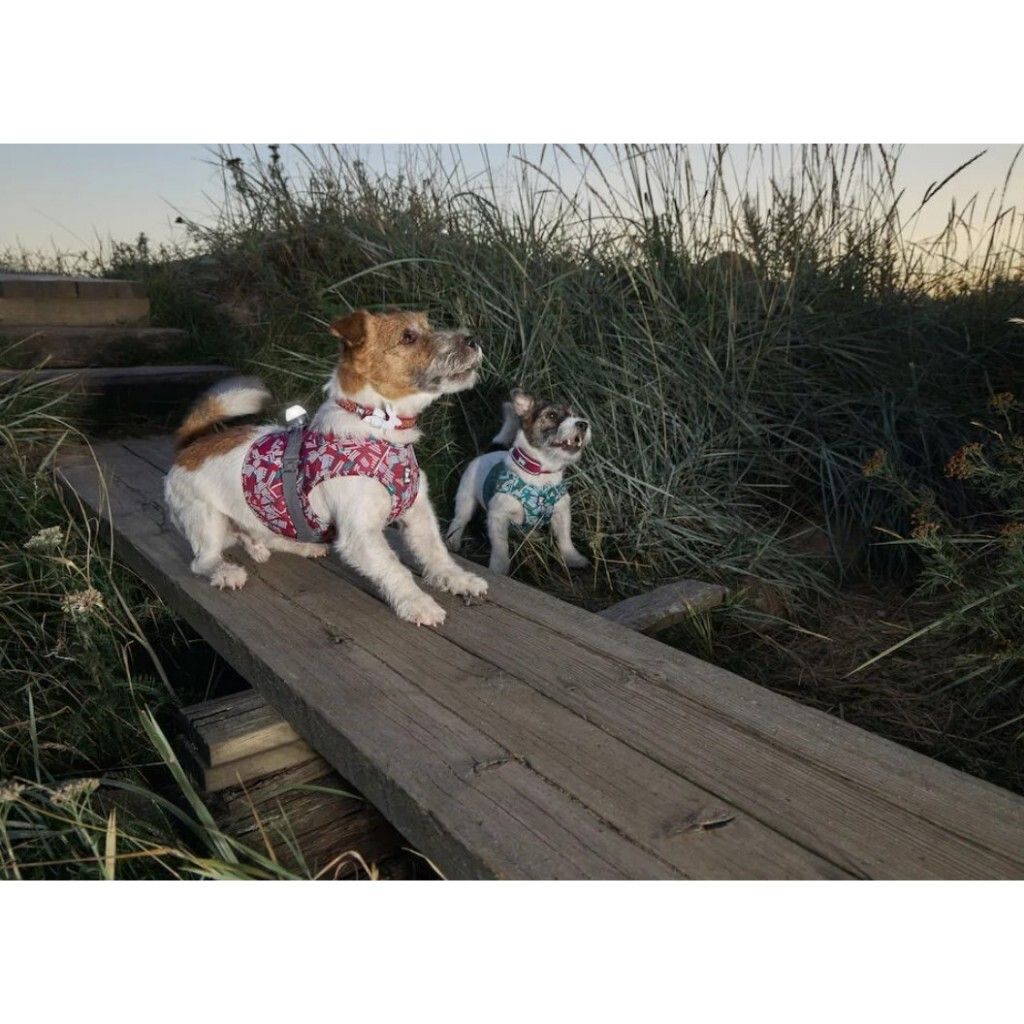 tw-11134207-7r992-lm4hq8naqnx770