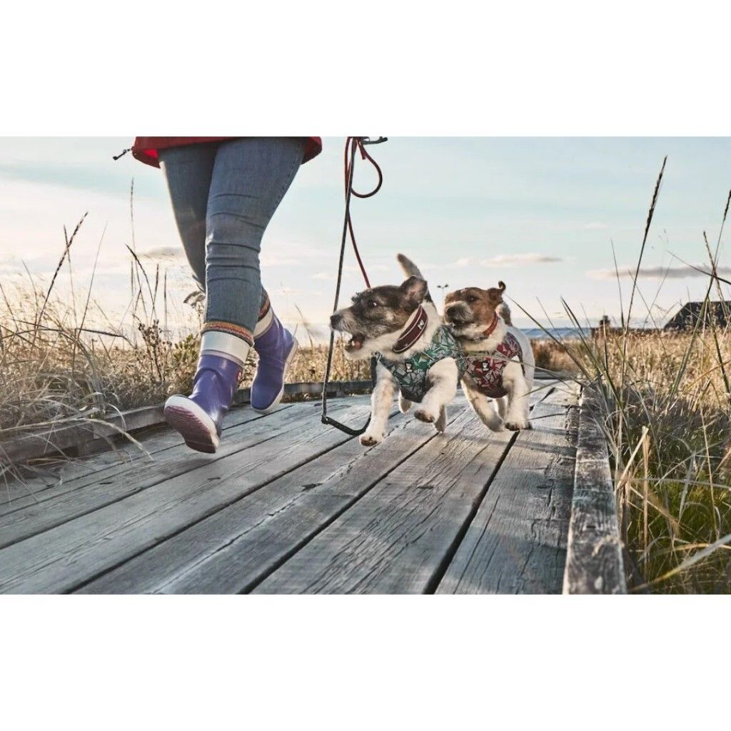 tw-11134207-7r98z-lm4hq8nas2hn11