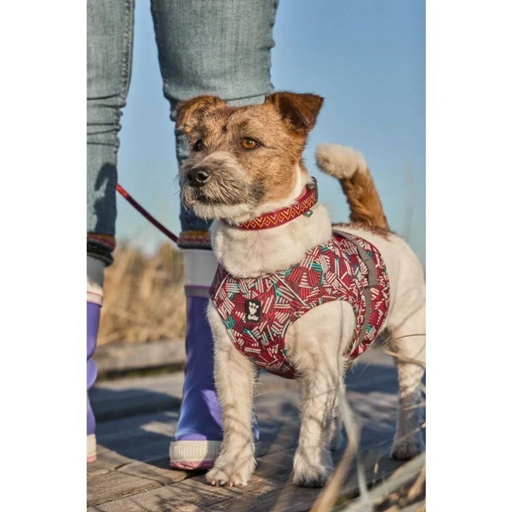 tw-11134207-7r98t-lm4hq8nath2304