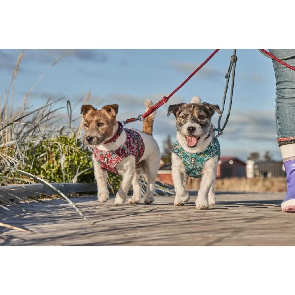 tw-11134207-7r990-lm4hq8nauvmj56