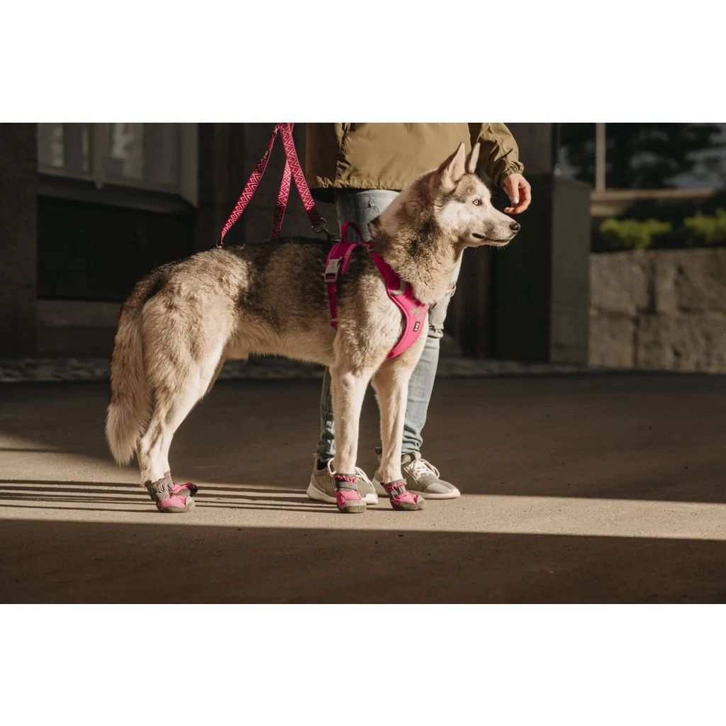 96de6d2bbb6375fd6e5c255f407e4035