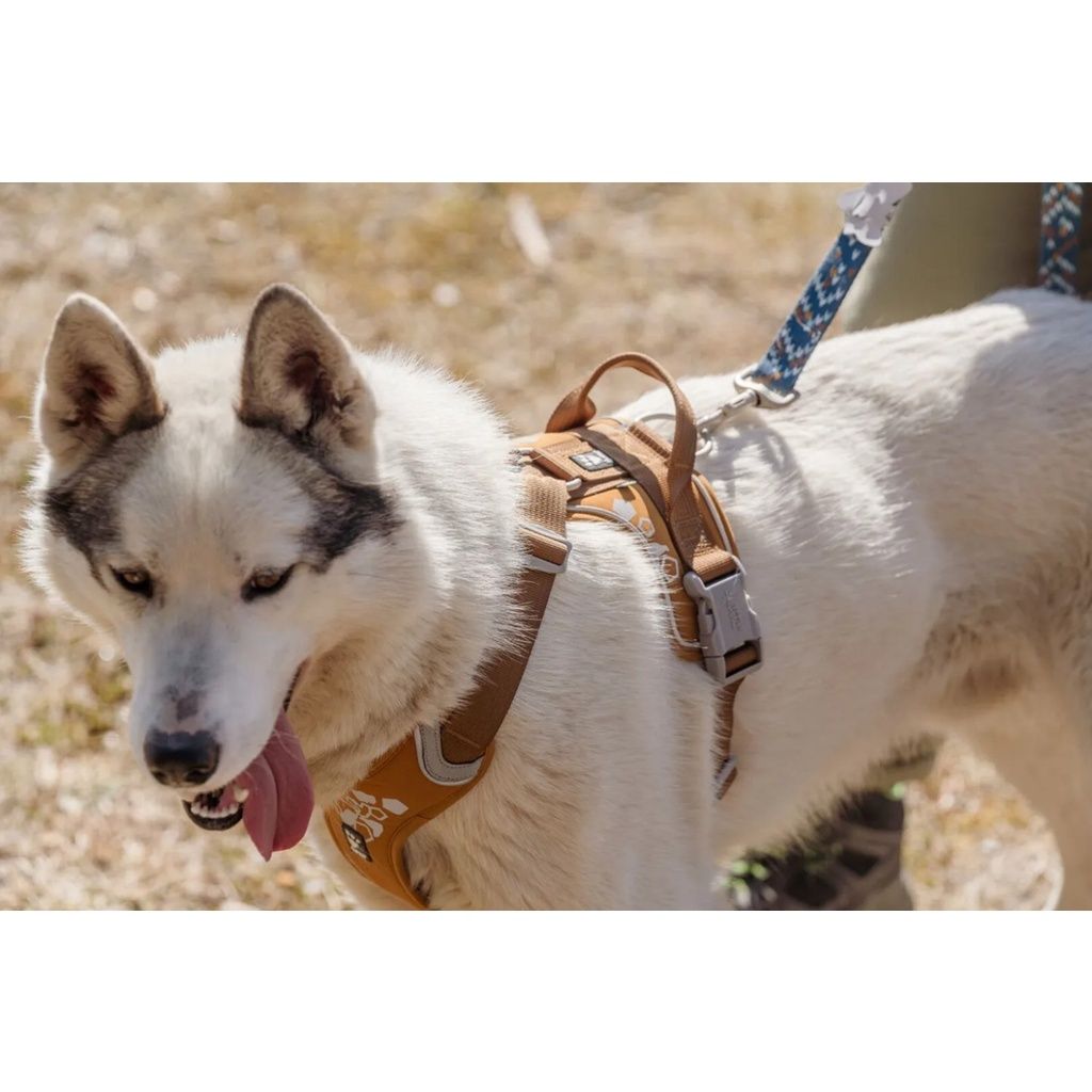 f5d4bd8e4a7c70f757c16caadb86fdf5