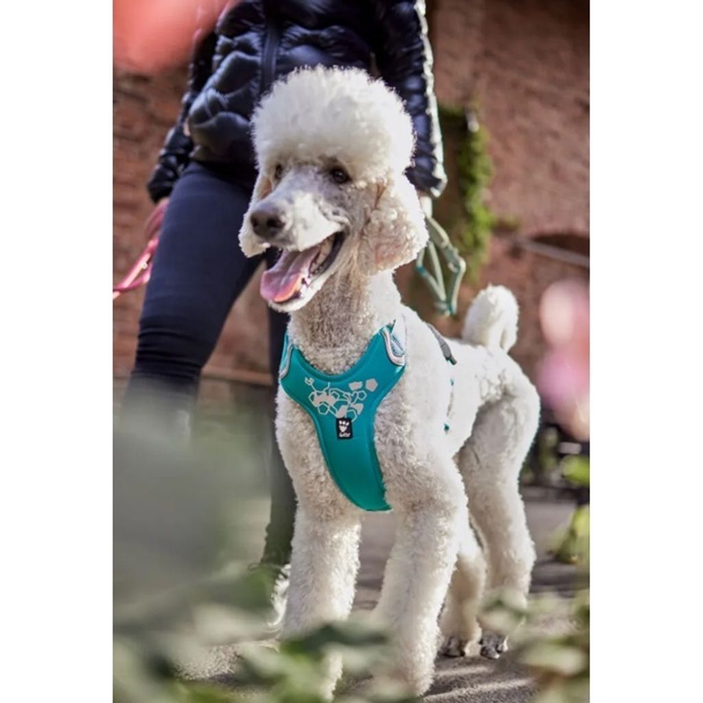 e32959d960e77028fbf5949d1a422e0d