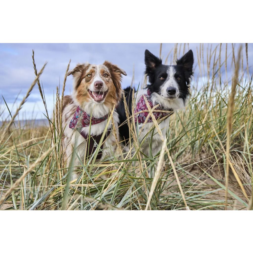 tw-11134207-7r98s-lm4g07eatxuh8a