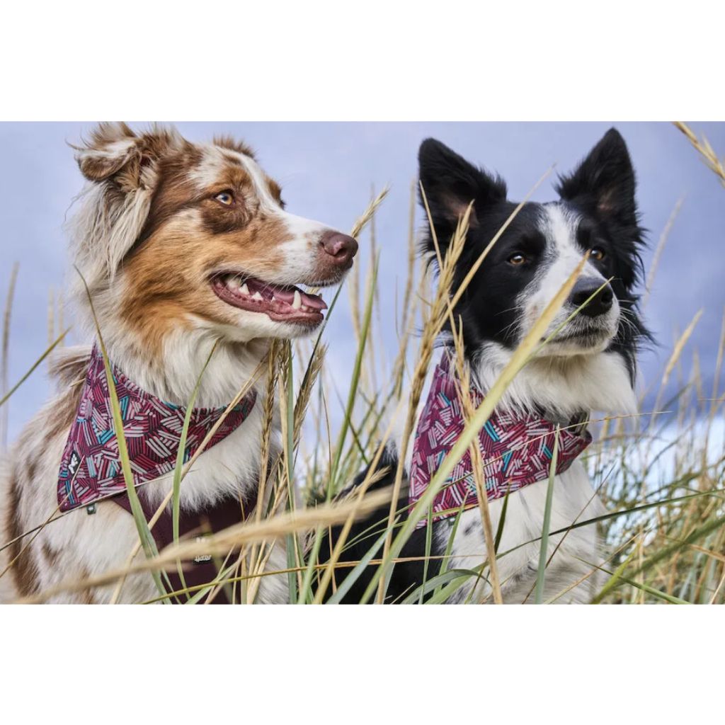 tw-11134207-7r98r-lm4g07eavcex9a