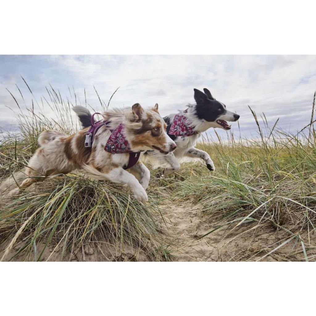 tw-11134207-7r98w-lm4g07eawqzdf8