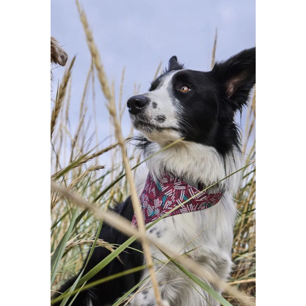 tw-11134207-7r98y-lm4g07eazk49ca