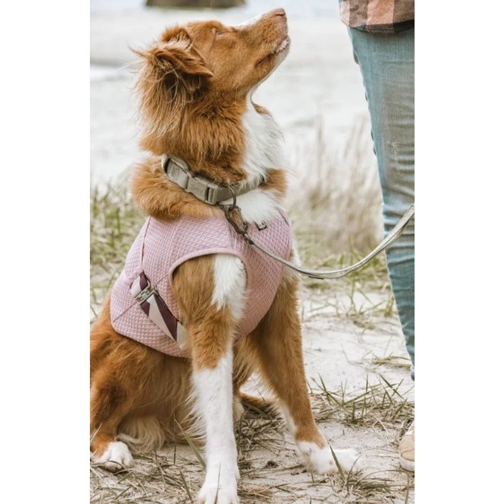 c51c4e54bec85d0e70ff8f7570aa6c1d