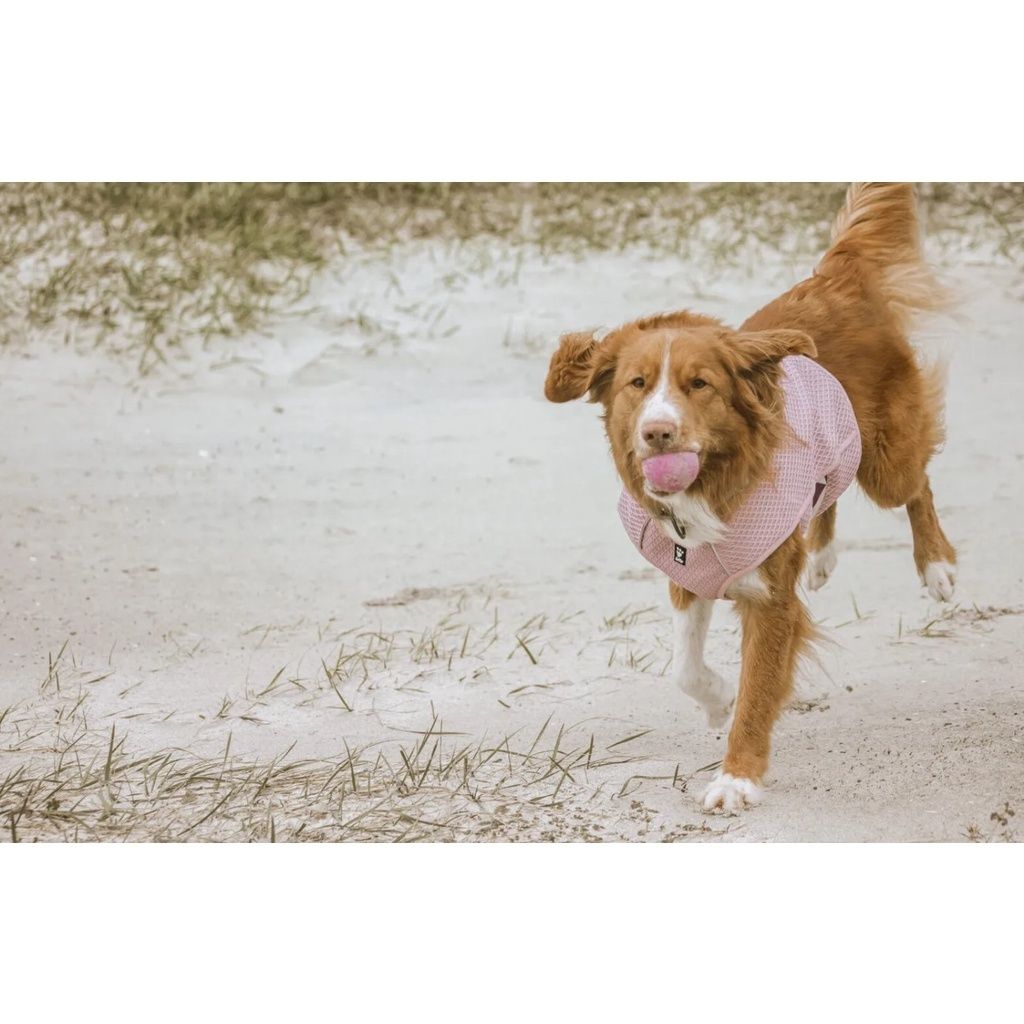 1bb2875a4750b0c3fd925373315898a4