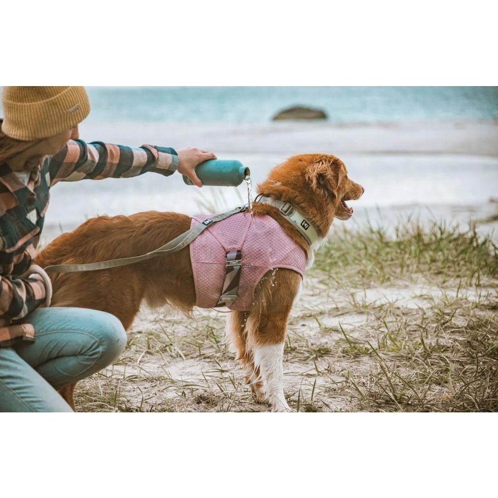 e7f8dd977288c920bb3a8c90ab9c501e