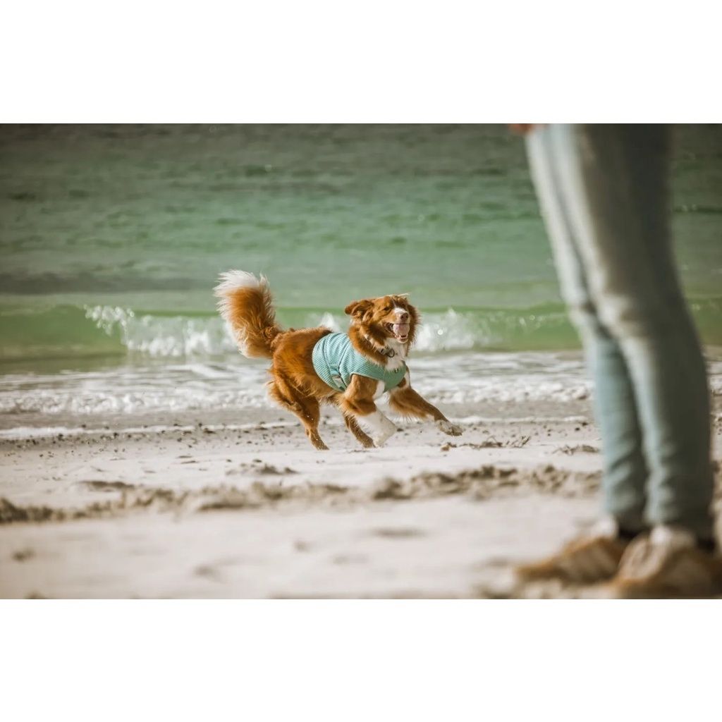 f032eada80f4ddd442b5007a97c3c9c8