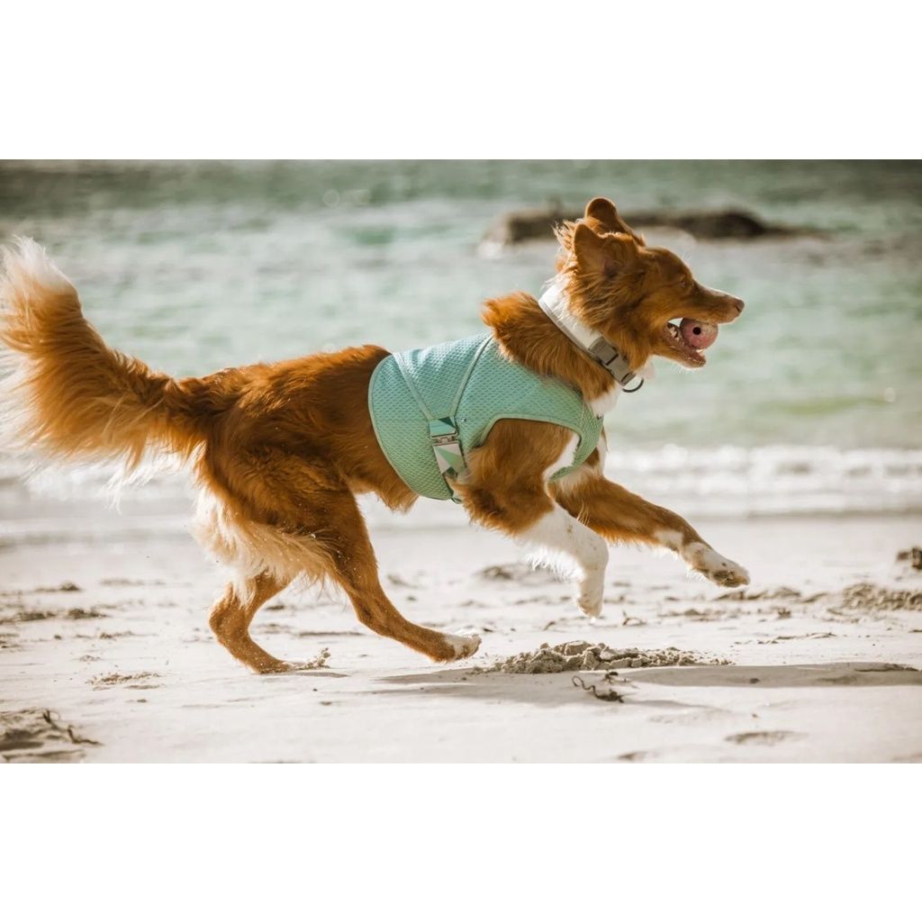 4957c5c1668ccf01e7099ead4d06b6fe