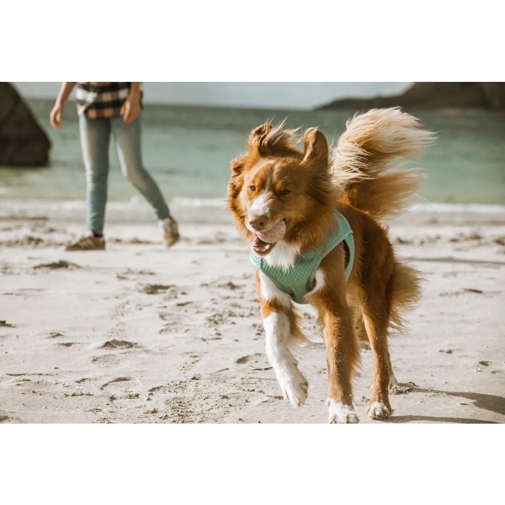 99b7802ce6145c8b5f8d8fdea2fffb24