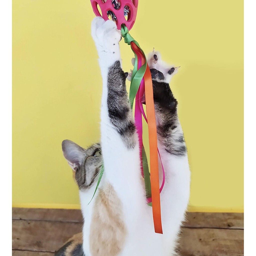 9b6916d39c7163bcc5e4d6d2913cb47c