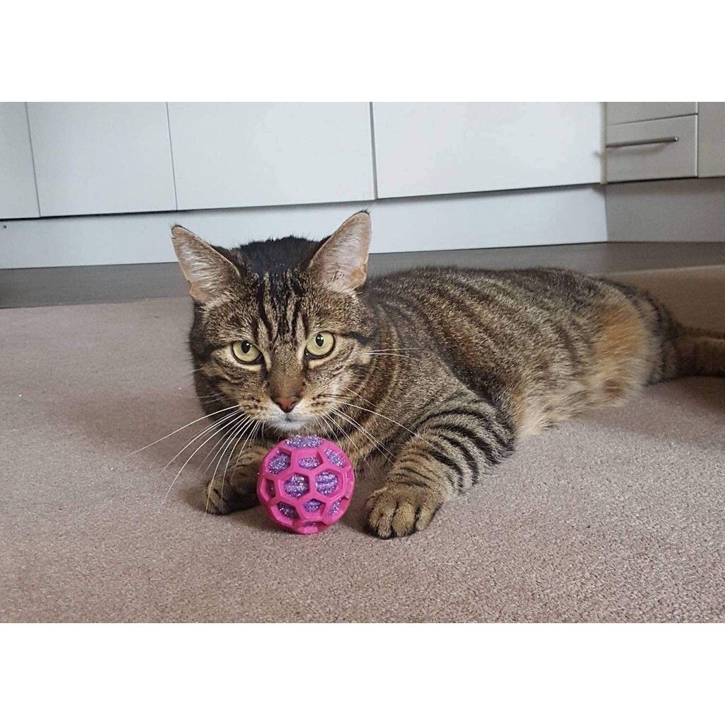 04c7a7d3fe814959c4a64db7c73380be