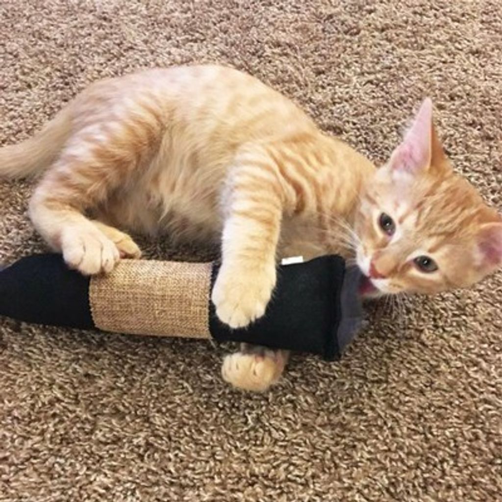 492de777e7c9a67877a5b854c7861666