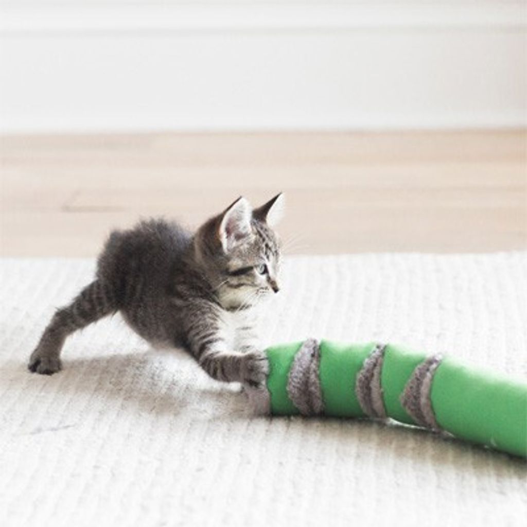 b79e0406463482b28e470429e3f70d0f