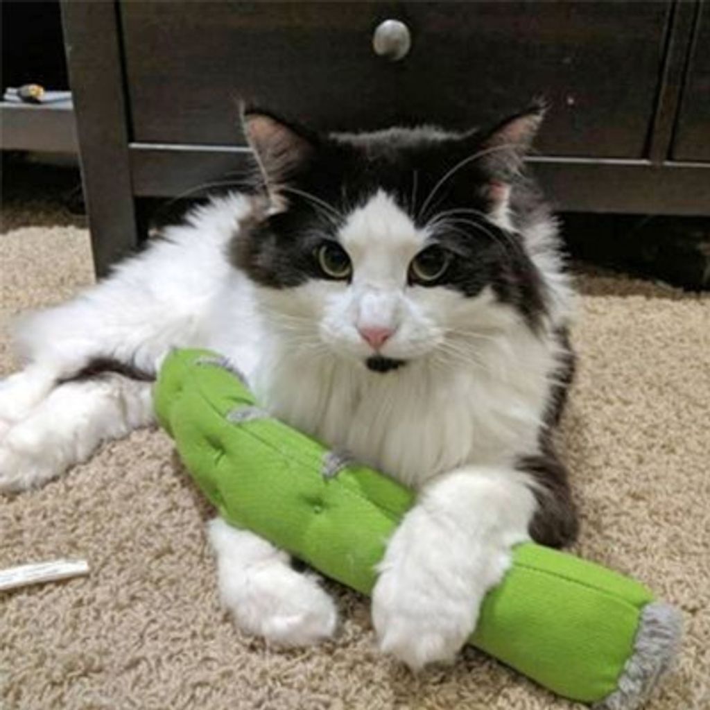 2e1a921ebbd2843b187c50ad2e2cb5fd