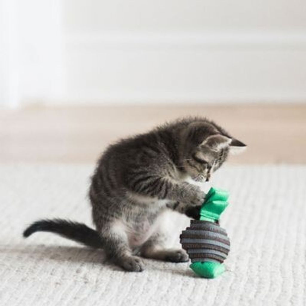 afb7cb2f78f90fe57acbe063f4266312