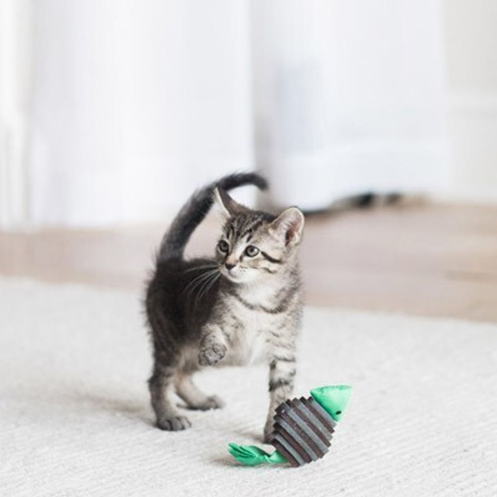 09d09c84171fe8359fe58da3aac8c492