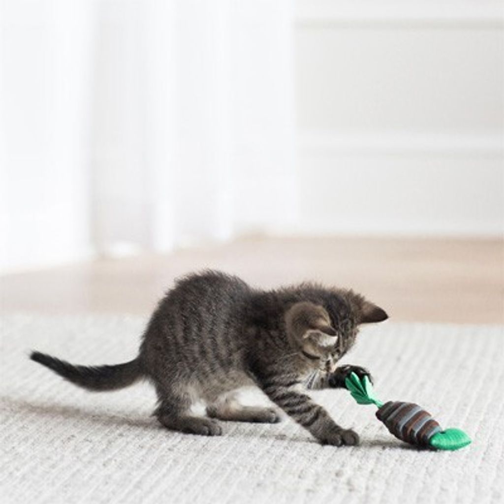 f6f48093acb11bd0a3718fcec324b3ba