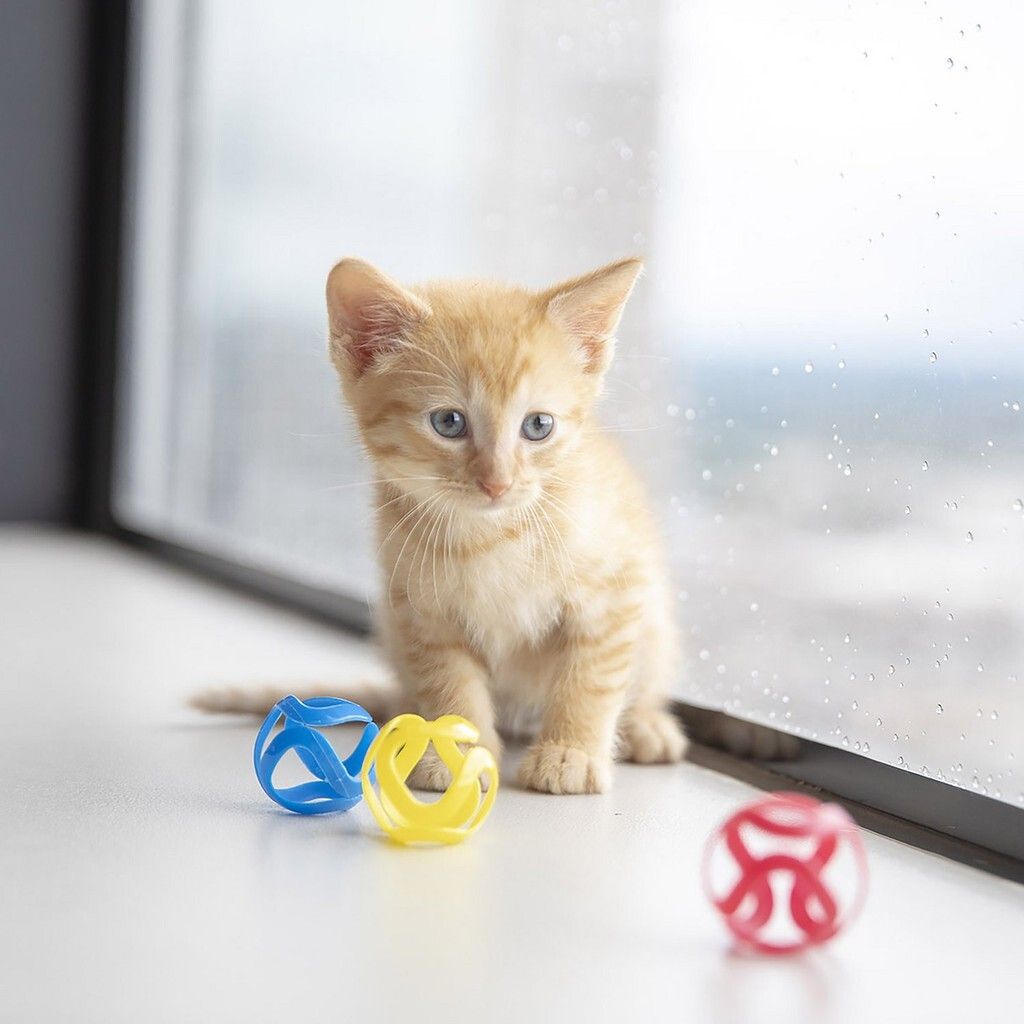 f7bc2ef8ed89eb4bc51e649795a905b4