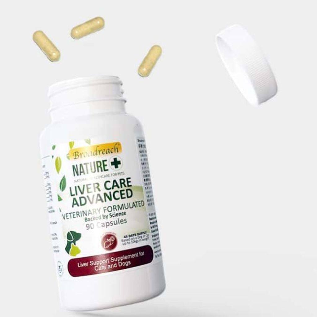 tw-11134207-7r992-lwckg1b73ig6c8