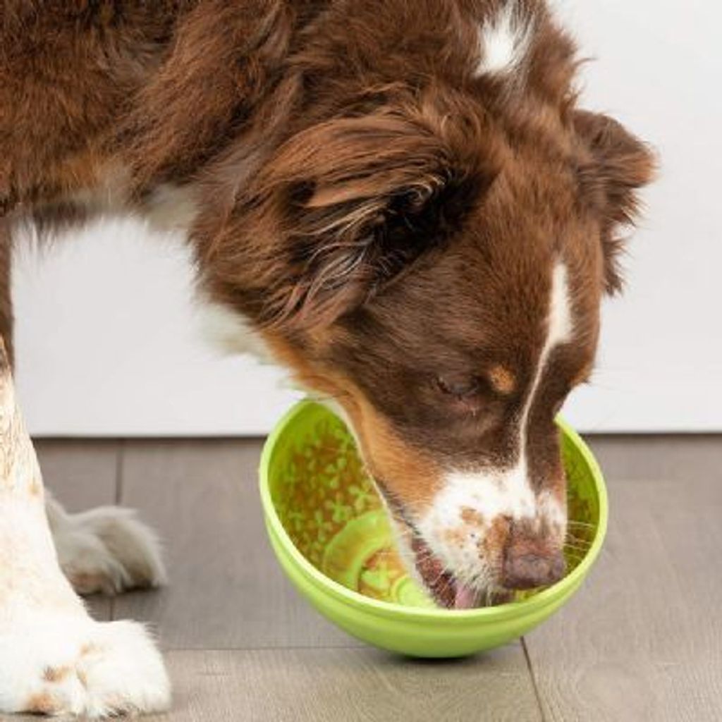 tw-11134207-23020-lvsgilfa1bnv11