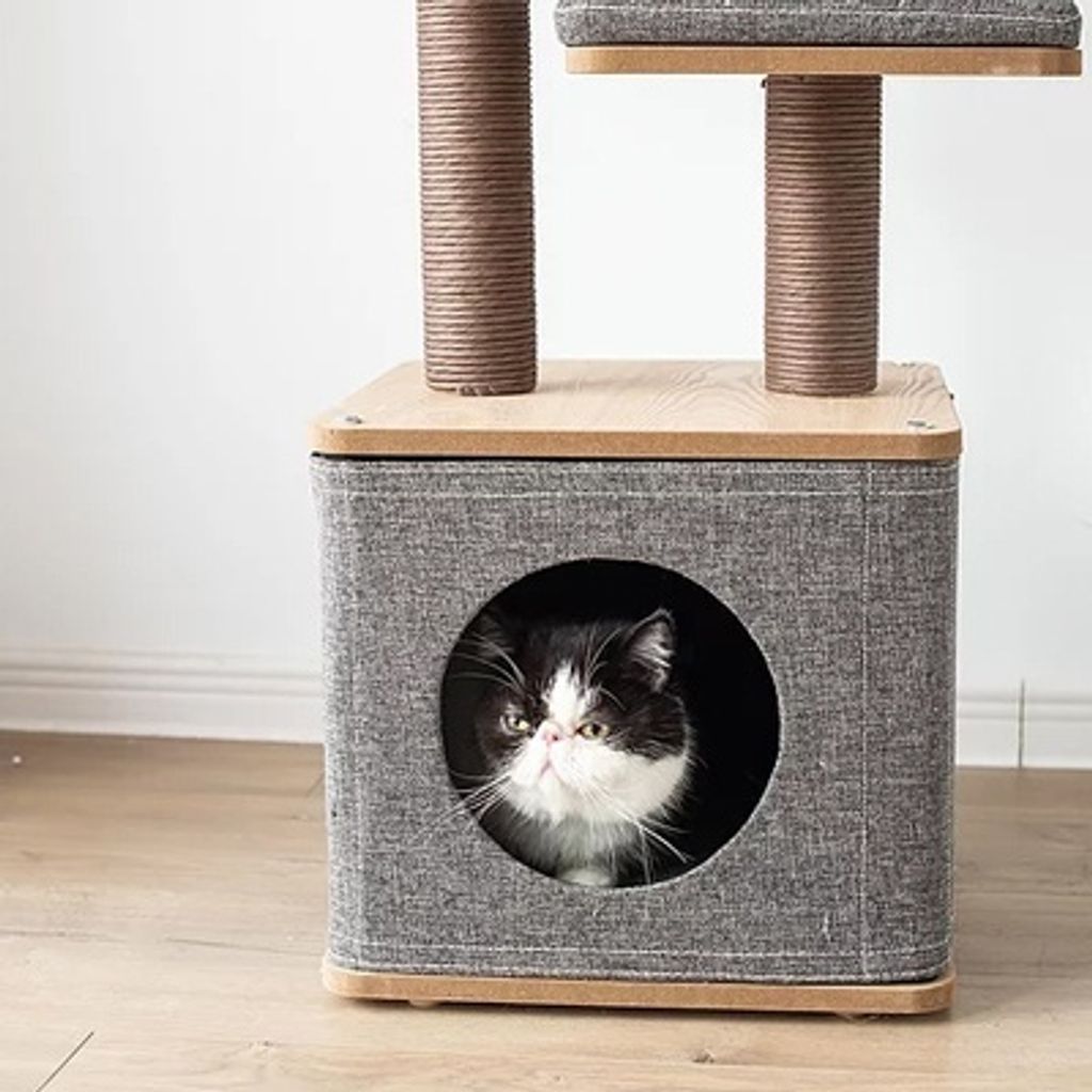 sg-11134201-22100-betblb10objve5