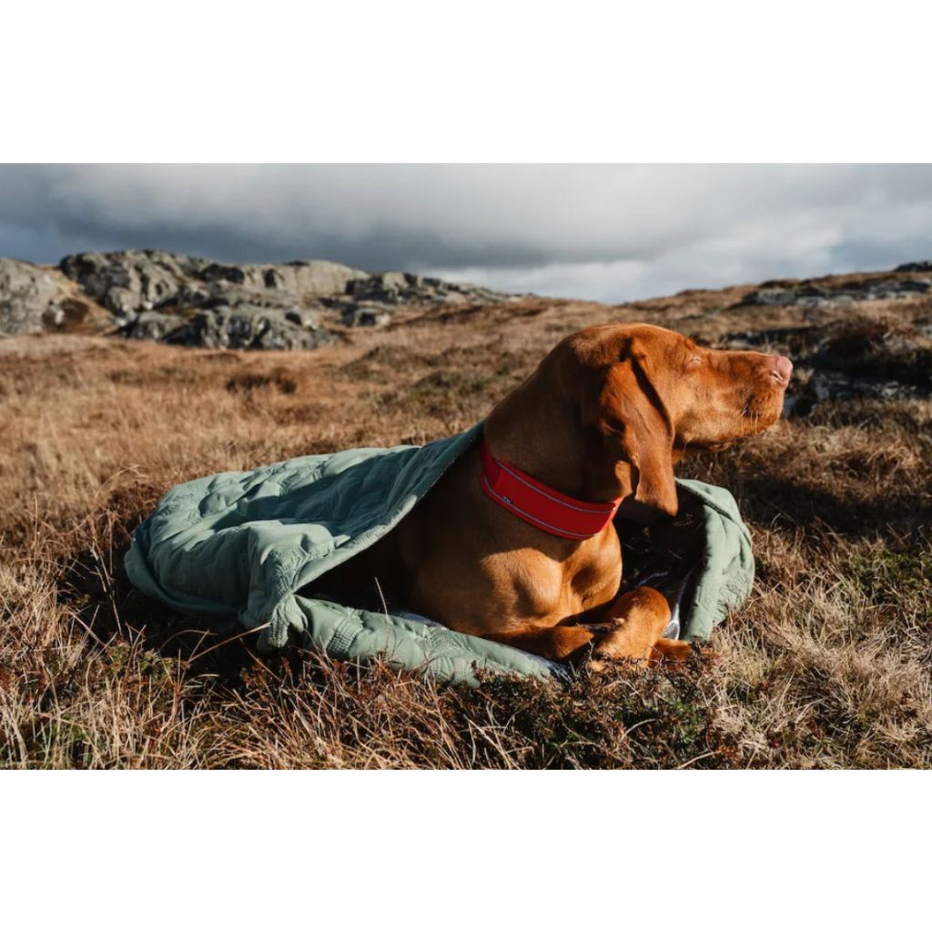 tw-11134207-7r98q-lm8o1w0y1xgb61