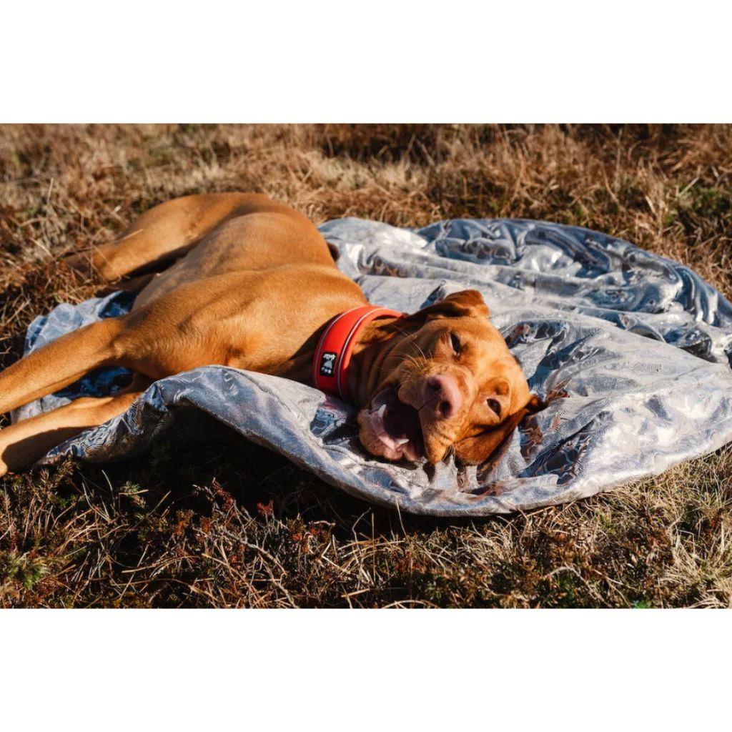 tw-11134207-7r98z-lm8o1w0y7jq3f6