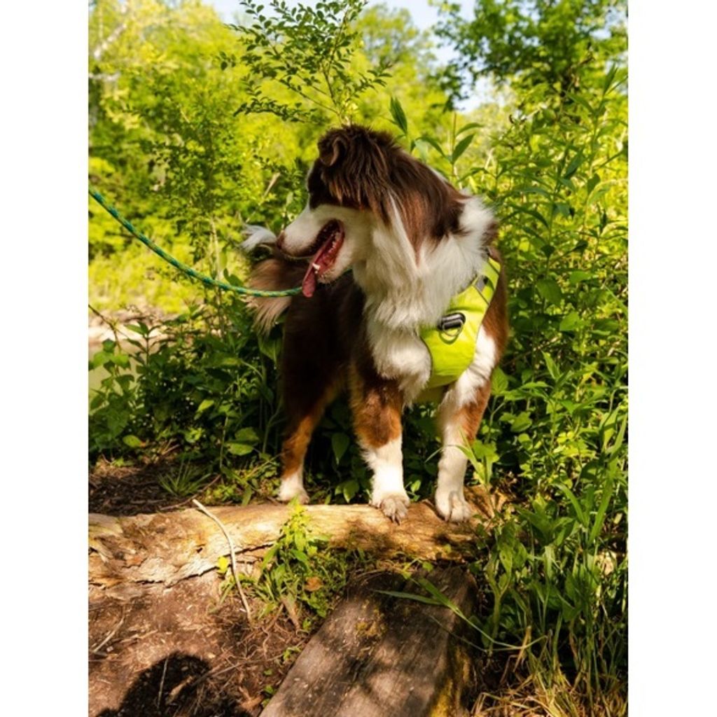 5d0d51c976e3d88e0dcb5f8e3eb0e5af