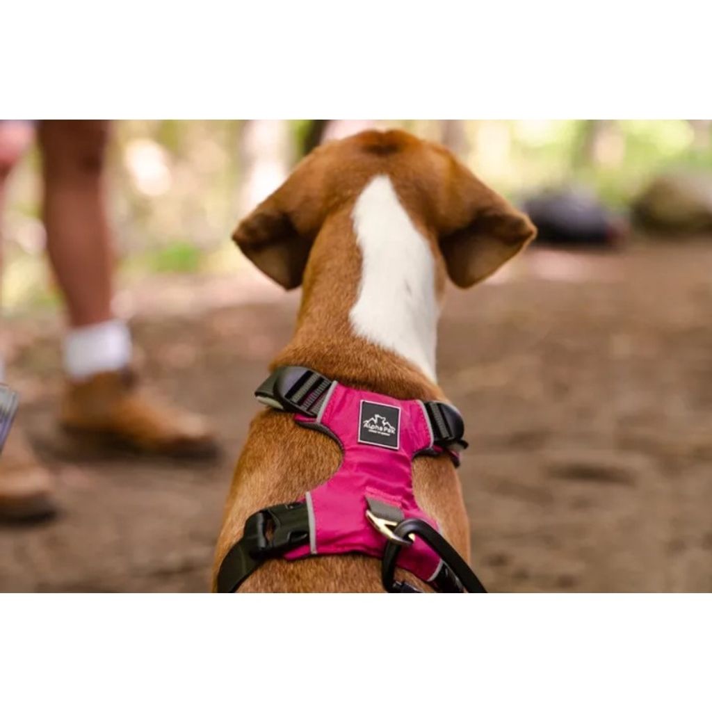 ae46fb154c773a090482e43f7f785798