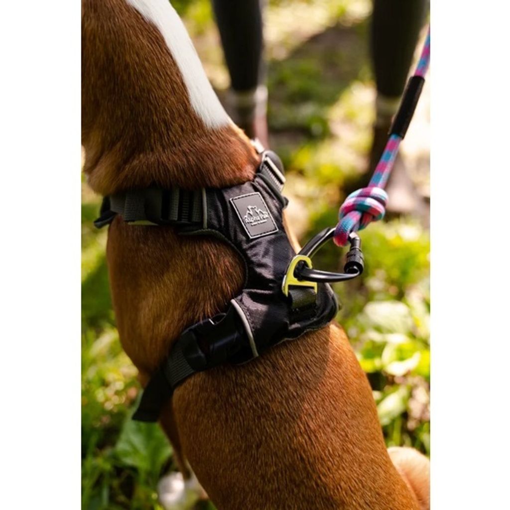 73f1dfa03a1ca4da7714b21f43693e38