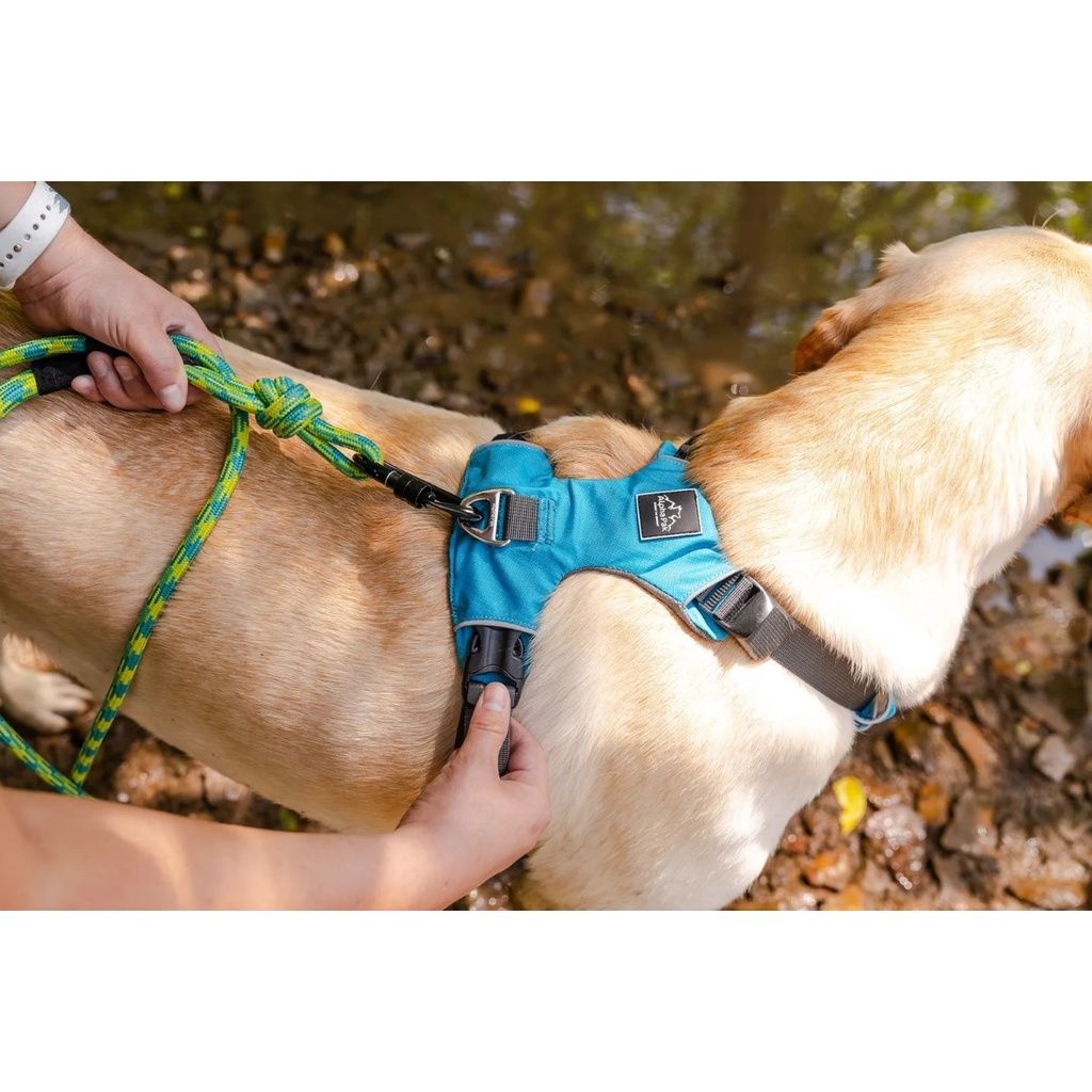 943ae48d3ed248378aaf66406d15c2a2