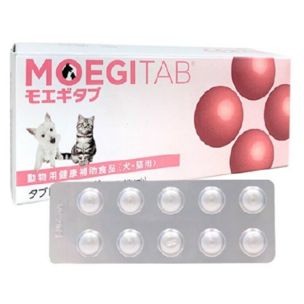 tw-11134207-7qul3-lheb6lvxanftce