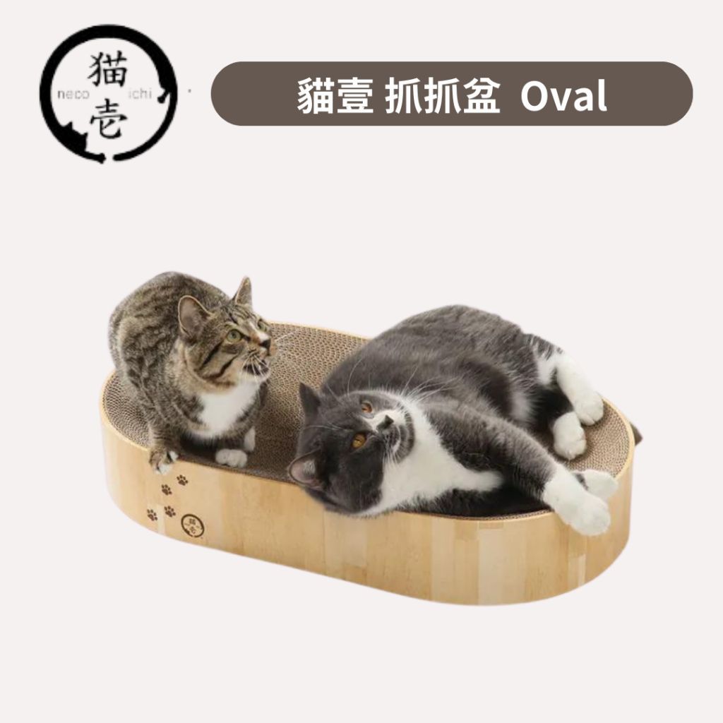 tw-11134207-7r98o-lv9tznobddexbb