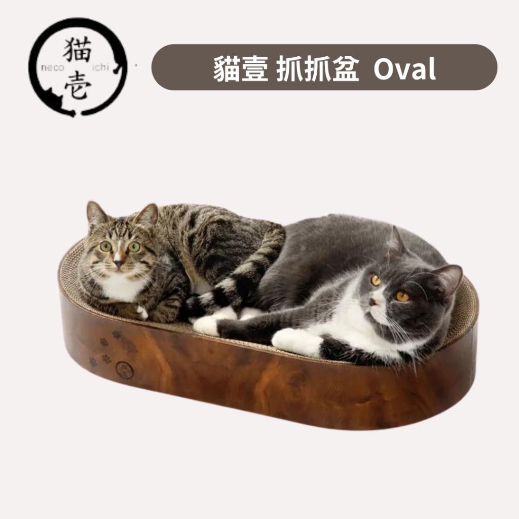 tw-11134207-7r98r-lv9tznoberzd12