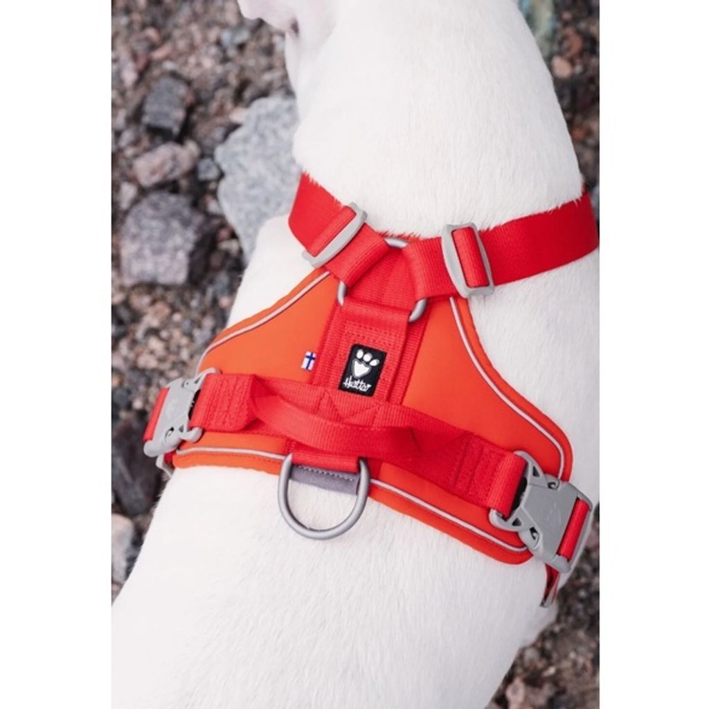 86642dabd8fcf0eba15e0e2c81a6803e