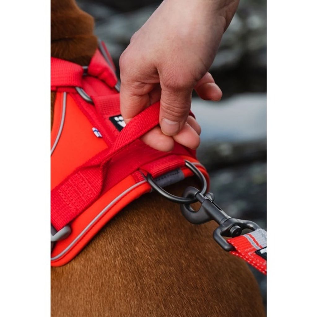 6f023e830927cbcf60f0db38f588a309