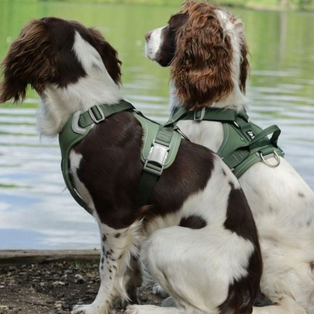 ee47a7e454dba5eef76ed7725fd14a81