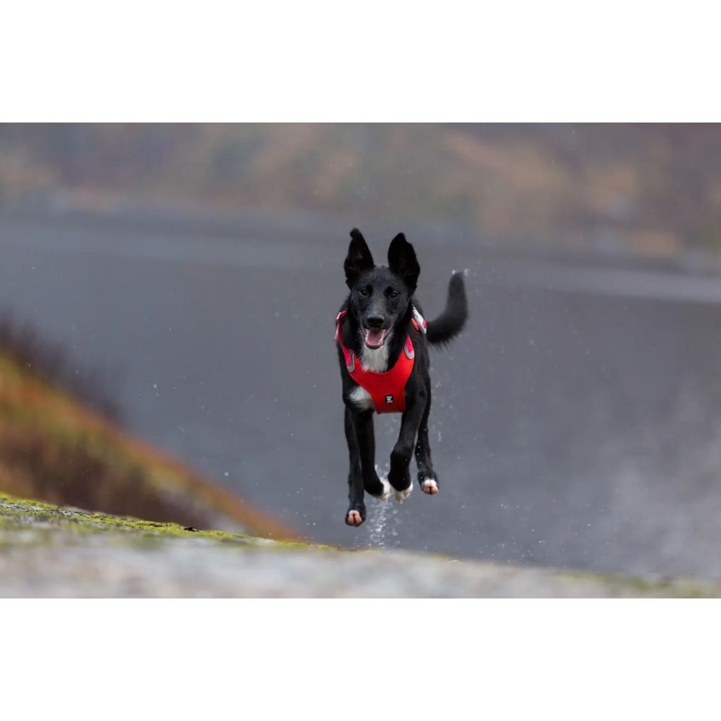 3fd50398848029e8d5ebee2a9b47df14