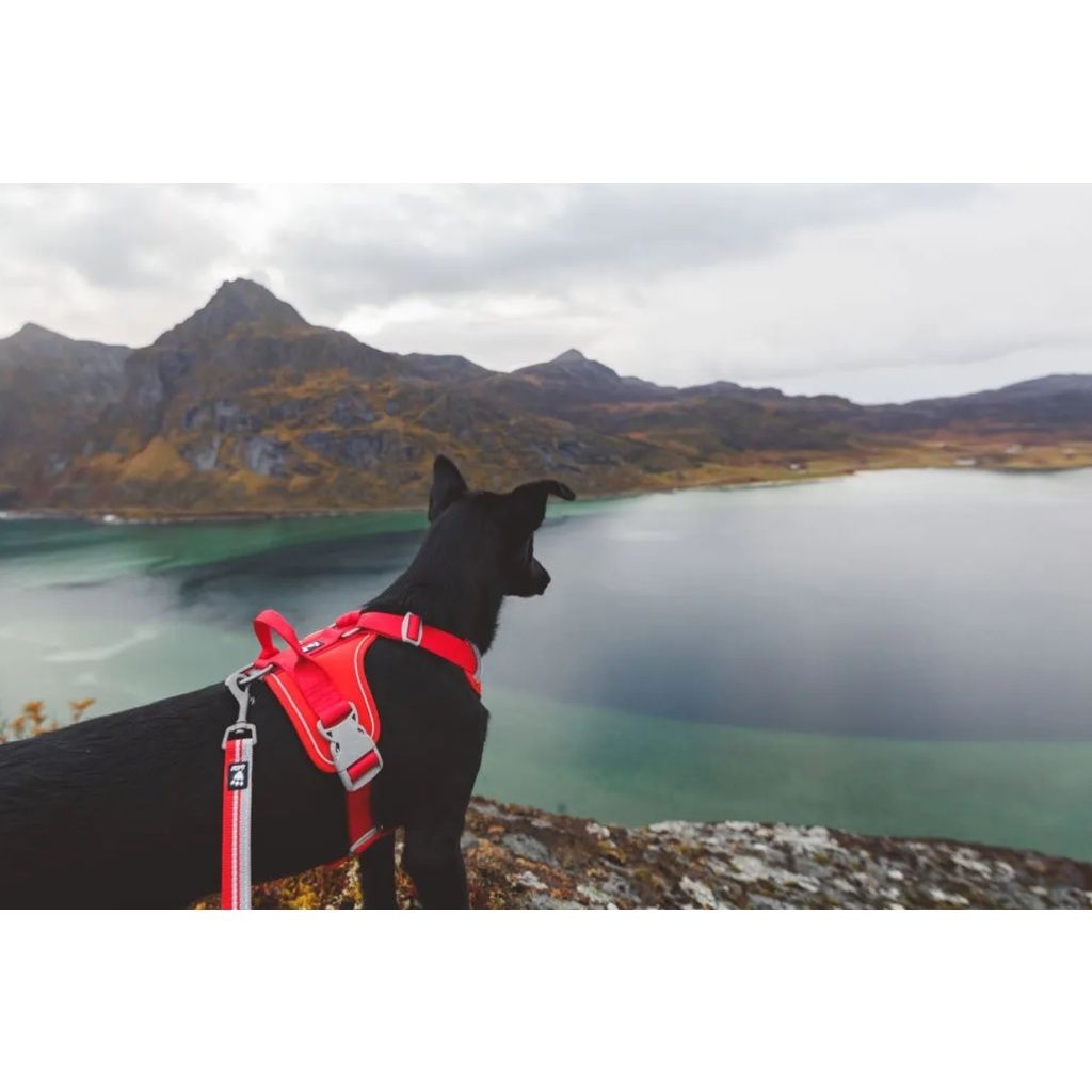 b0723e80b84269efcedb004bf67f9ee6