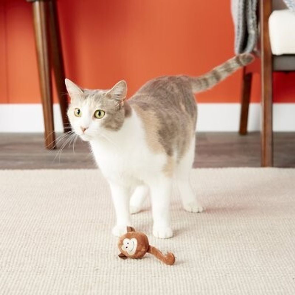 95f91930bafca86b28d720c941b9e83a