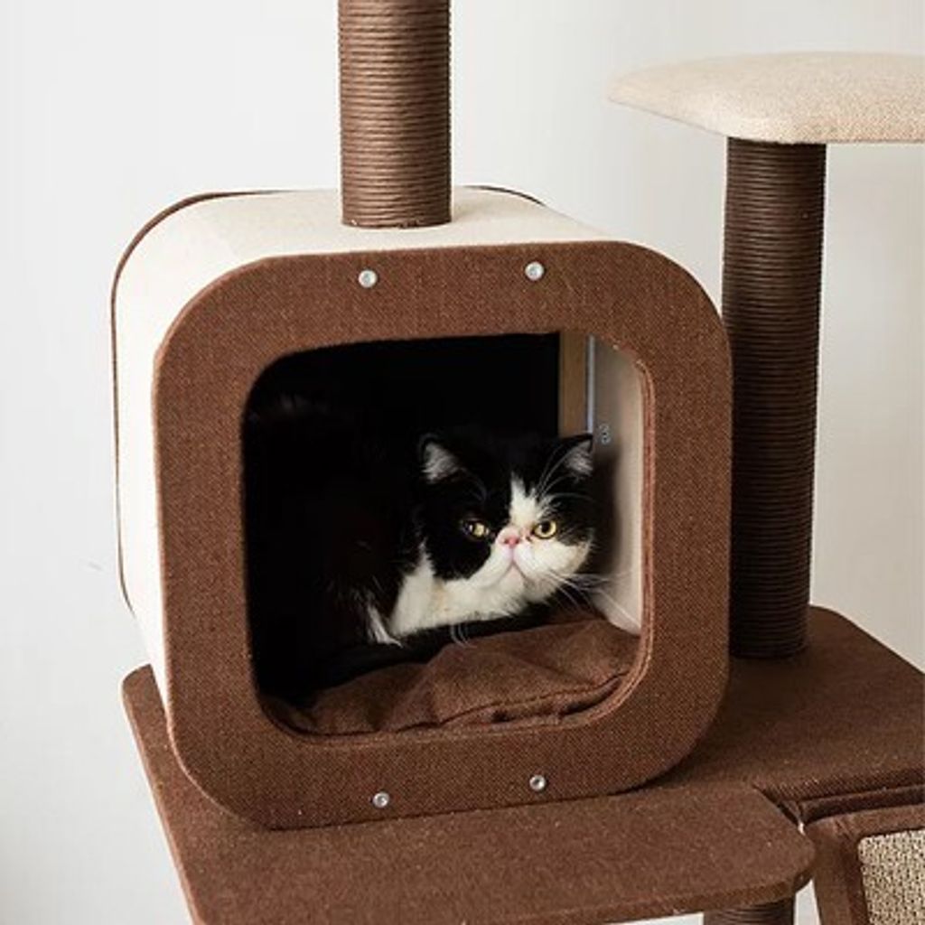 066f2a111c2ff020d487ce82003550d3