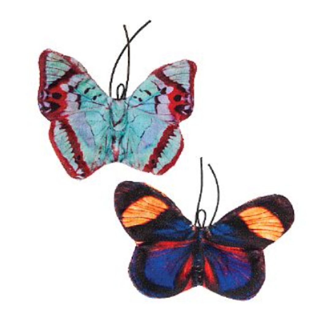 tw-11134207-7r98w-lvx0ebe3mfcg01